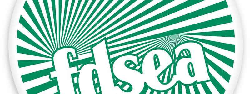 Fdsea33-2013