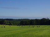 Imgp7680