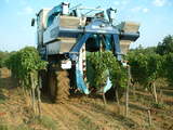 Machine_a_vendanger