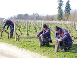 Salaries