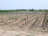 P1060509