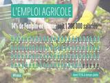 Emploi_agricole
