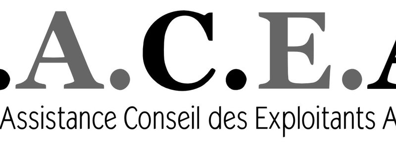 Sacea