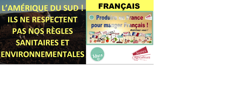 Tract_ceta_recto