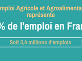 Emploi_agricole_en_france