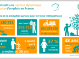 Infographie_emploi_production_agricole_en_france_1