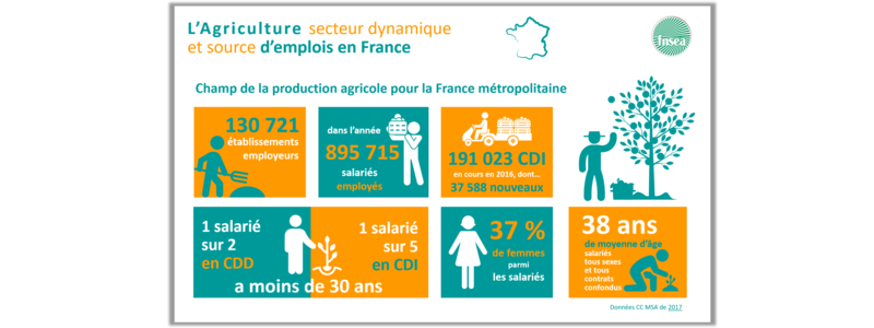 Infographie_emploi_agricole_web
