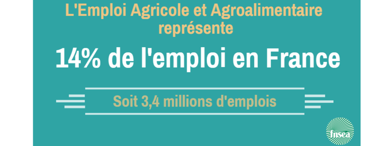 Emploi_agricole_en_france_web
